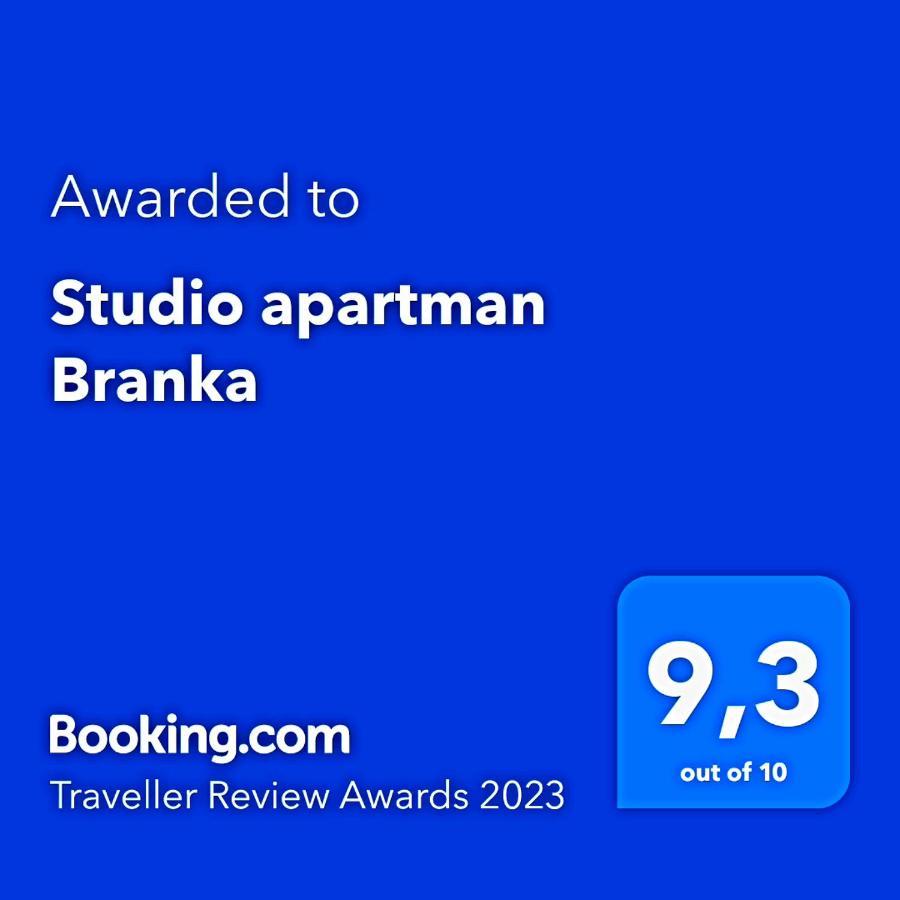 Studio Apartman Branka Labin  Eksteriør billede